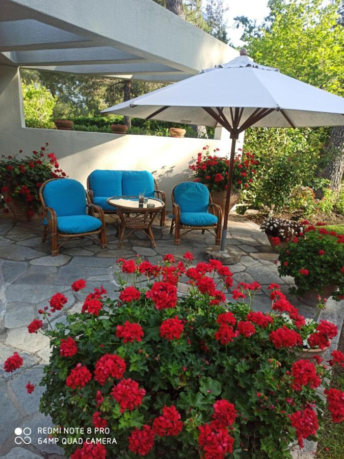 Sani Villa Maria Exteriör bild